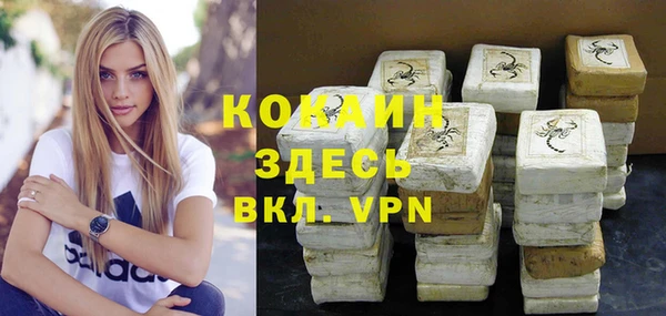 стафф Кулебаки
