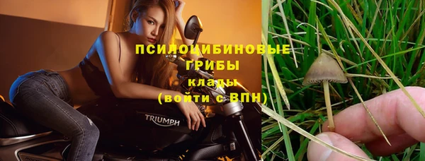 стаф Куйбышев